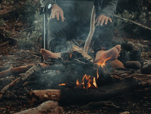 Unveil kent's timeless gardens: embark on the top guided journeys to captivating locales!